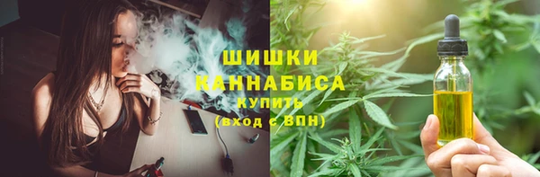 ешки Алексеевка