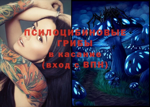 ешки Алексеевка