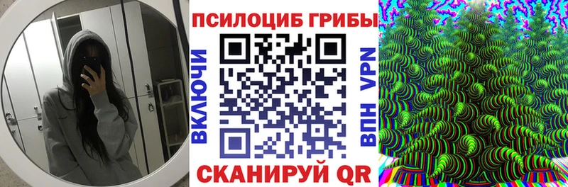 купить   Усть-Лабинск  Галлюциногенные грибы мухоморы 